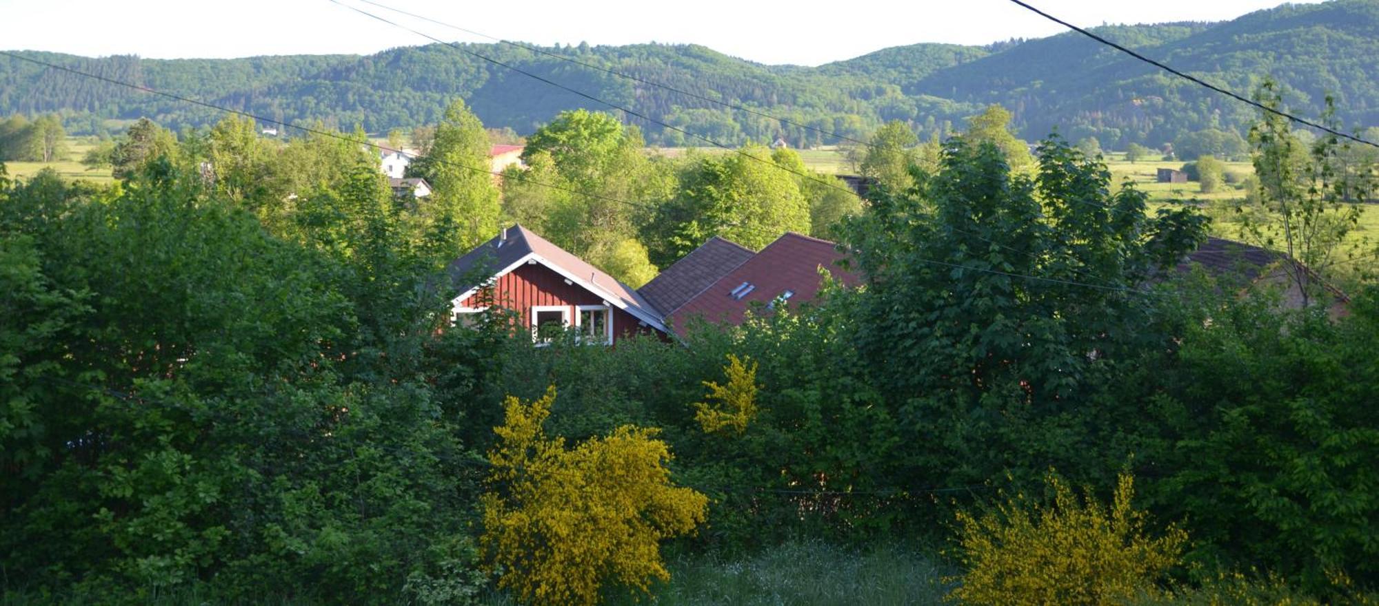 Chalet Des Aigrettes, Les 1000 Etangs La Voivre  Exterior foto